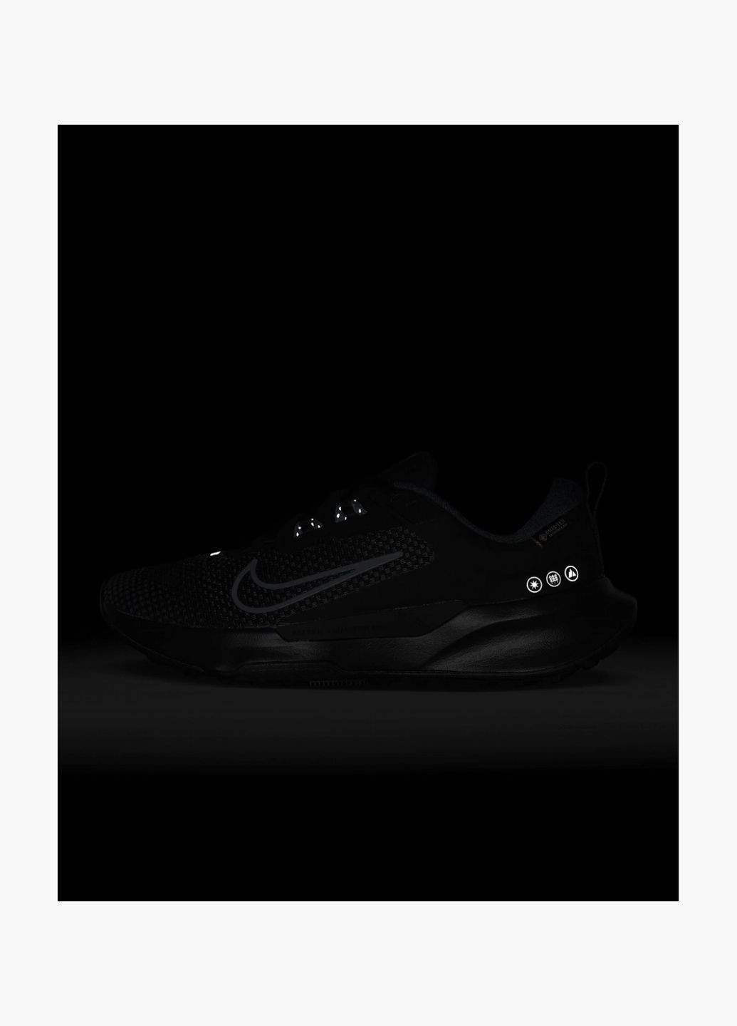 Кросівки жіночі Juniper Trail 2 Gore-Tex Waterproof Trail Running Shoes Black FB2065-001 Nike чорні (325415120)