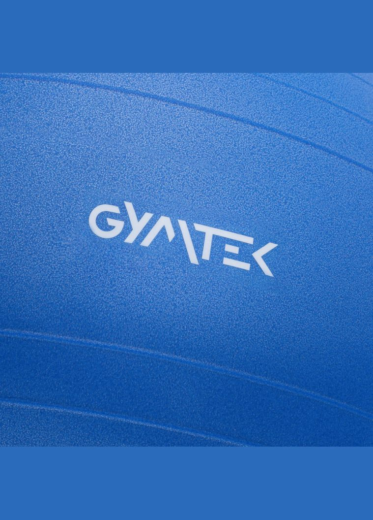 Фітбол 65см + насос Gymtek (303126800)