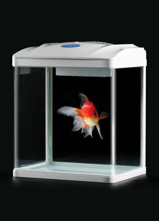 Аквариумный комплект HR-180 белый 3,5л, 18,3х15,5х22 см Sunsun (328088134)