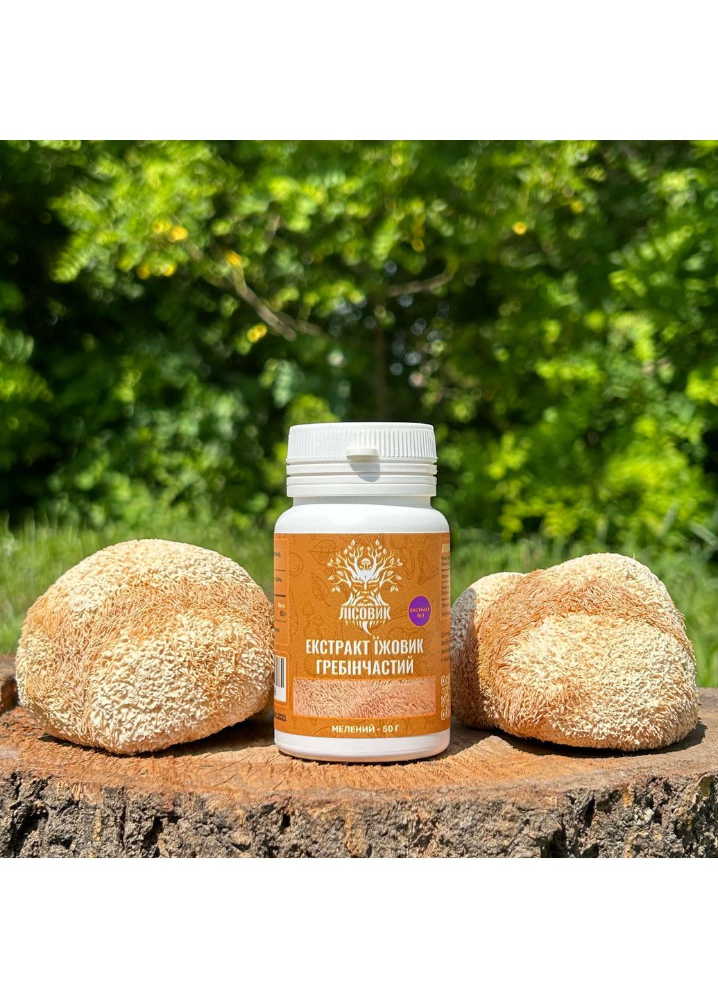 Экстракт Ежовика гребенчатого, молотый 50 г Лісовик (337336466)
