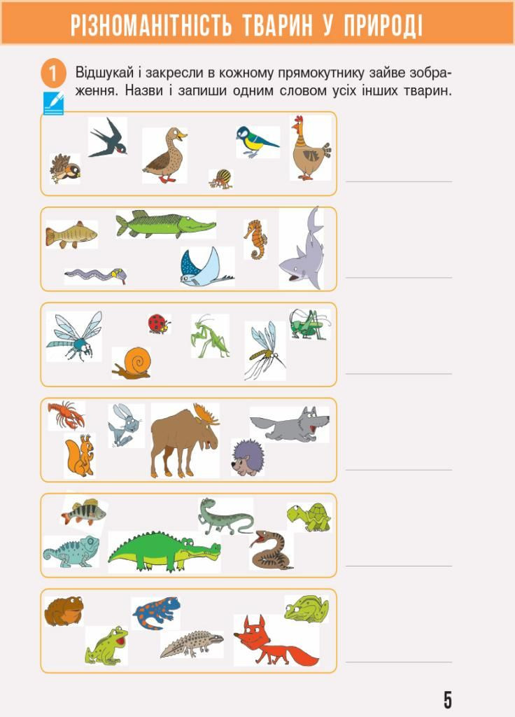 НУШ Я досліджую світ. 3 клас. Робочий зошит до підручника Н. Бібік ЧАСТИНА 2 Т530296У 9786170966131 РАНОК (301001912)