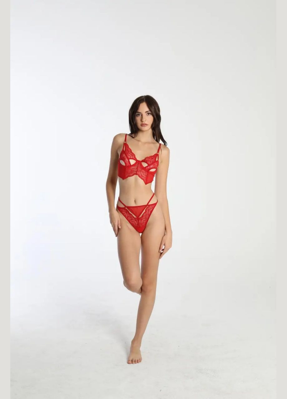 Красный демисезонный женский ажурный комплект нижнего белья LL