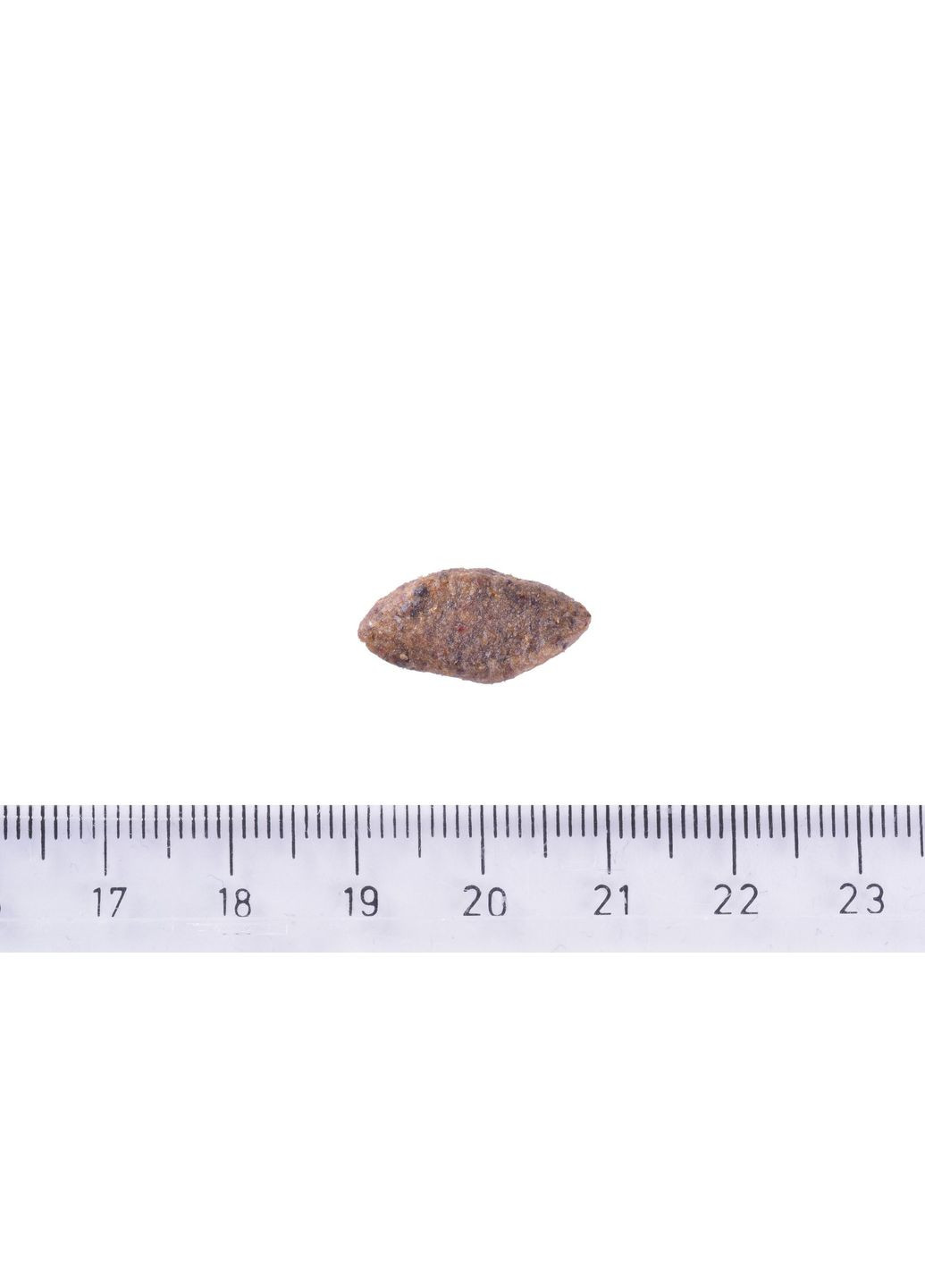 Сухий корм Dog Sustainable Sensitive для собак із чутливим травленням з рибою та комахами 12 кг (8595602559190) Brit Care (364789048)