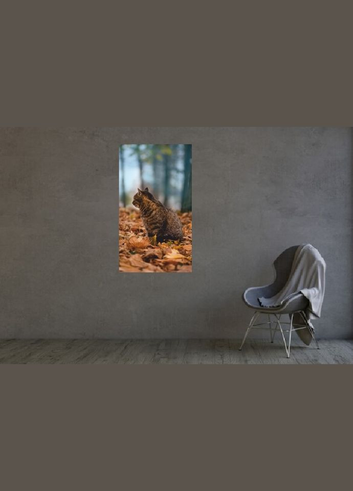 Інфрачервоний плівковий обігрівач картина Осінь і Кіт 61x107см/250Вт/220В Monocrystal (276905163)