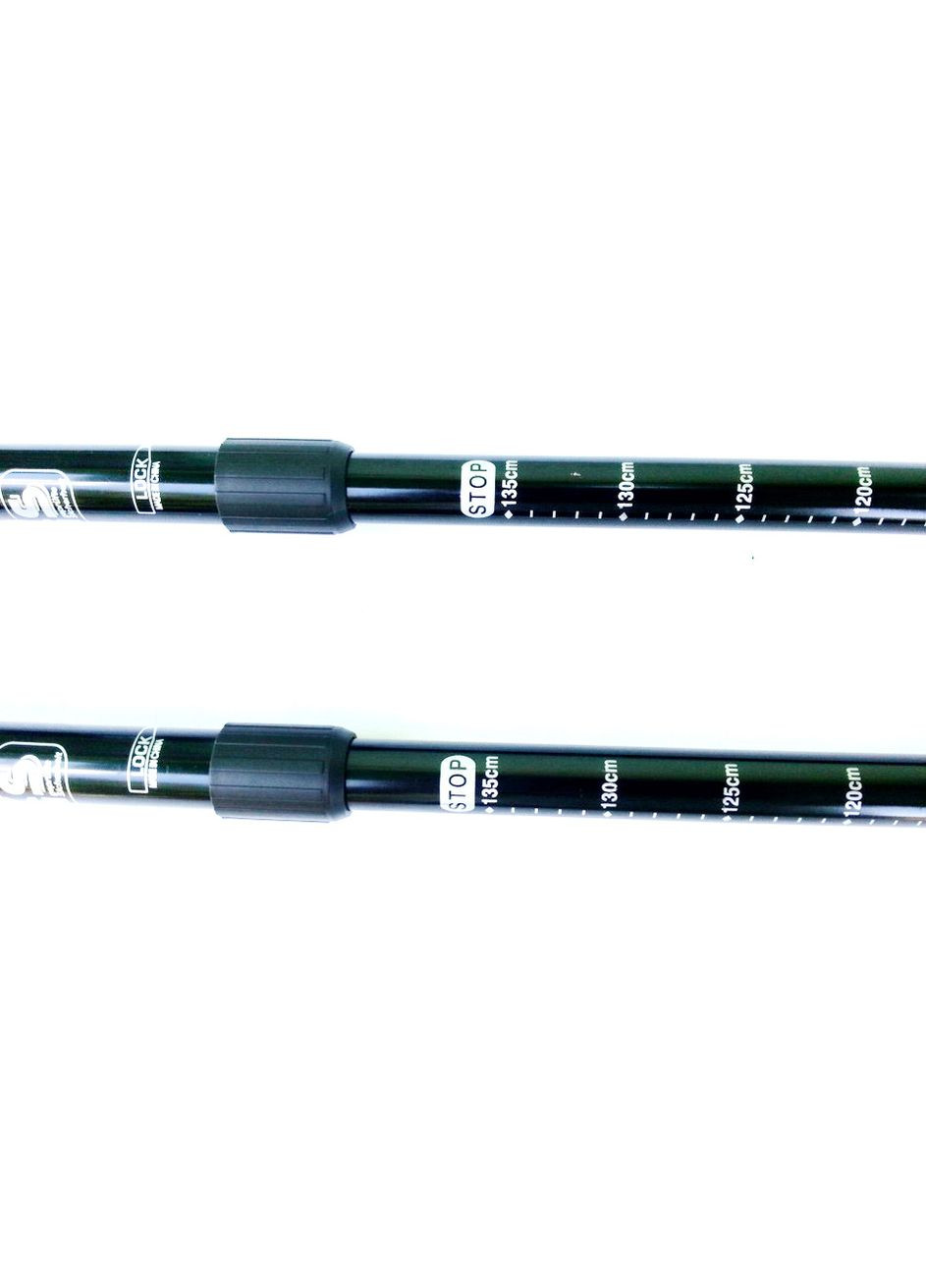 Палки для скандинавской ходьбы ТМ LEO-POLES (339679758)