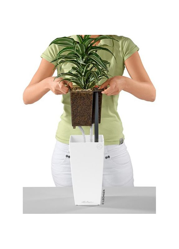 Кашпо Maxi Cubi White (18050) Lechuza (323204384)