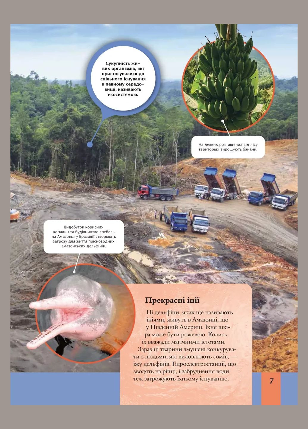 Книга Дитяча енциклопедія довкілля. Дваєр Гелен (українською) Vivat (335209909)