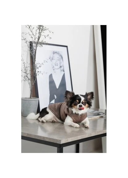 Жилет Hardy для собак розмір S2 Pet Fashion (333020584)