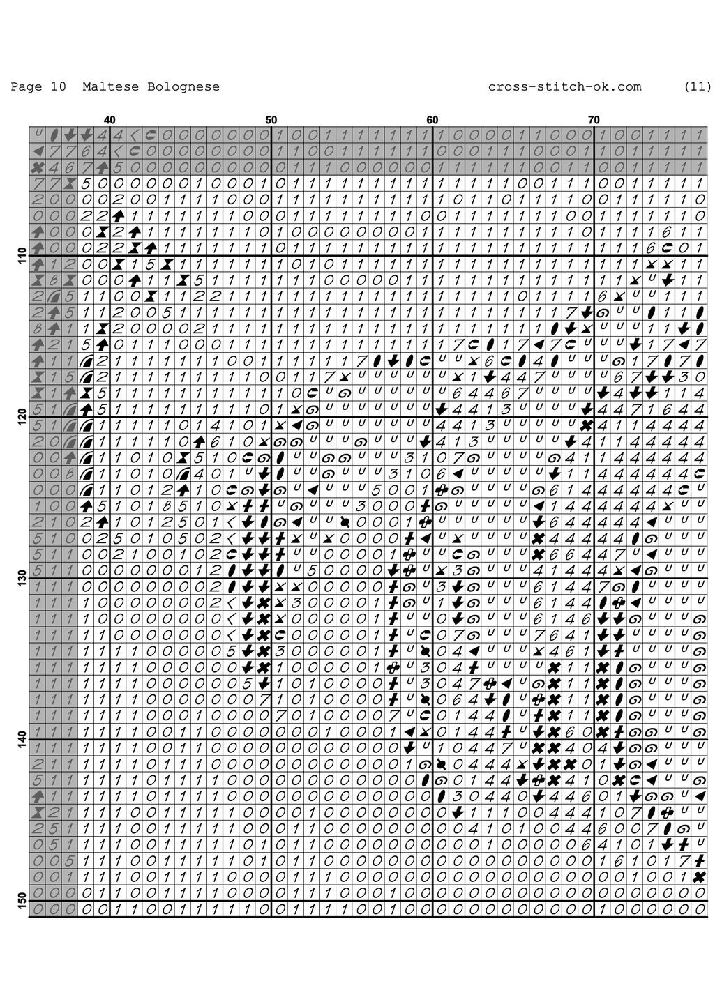 Maltese Bolognese Joy Sunday (314985839)