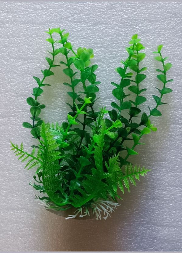 Рослина пластикова водорості TROPICAL PLANT4 штучна, Декорація для акваріума 1417см A8011193 Croci (292569165)