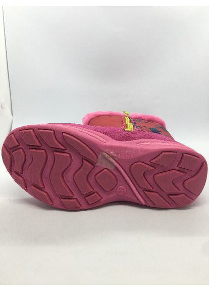 Зимние сапожки Desigual