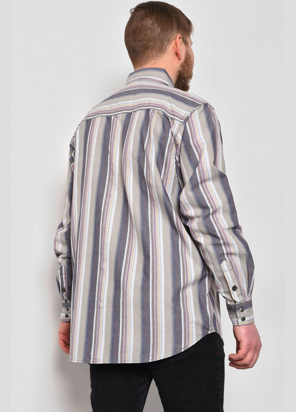 Сорочка чоловіча батальна бежевого кольору в смужку Let's Shop (281352728)