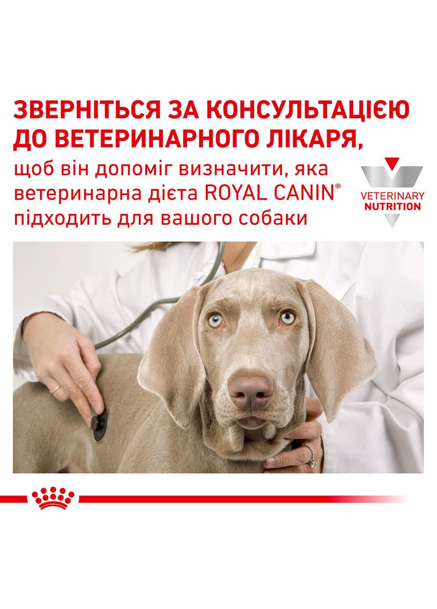 Сухой корм для щенков Gastro Intestinal Junior Canine до 1 года при нарушениях пищеварения 2.5 кг Royal Canin (279562183)