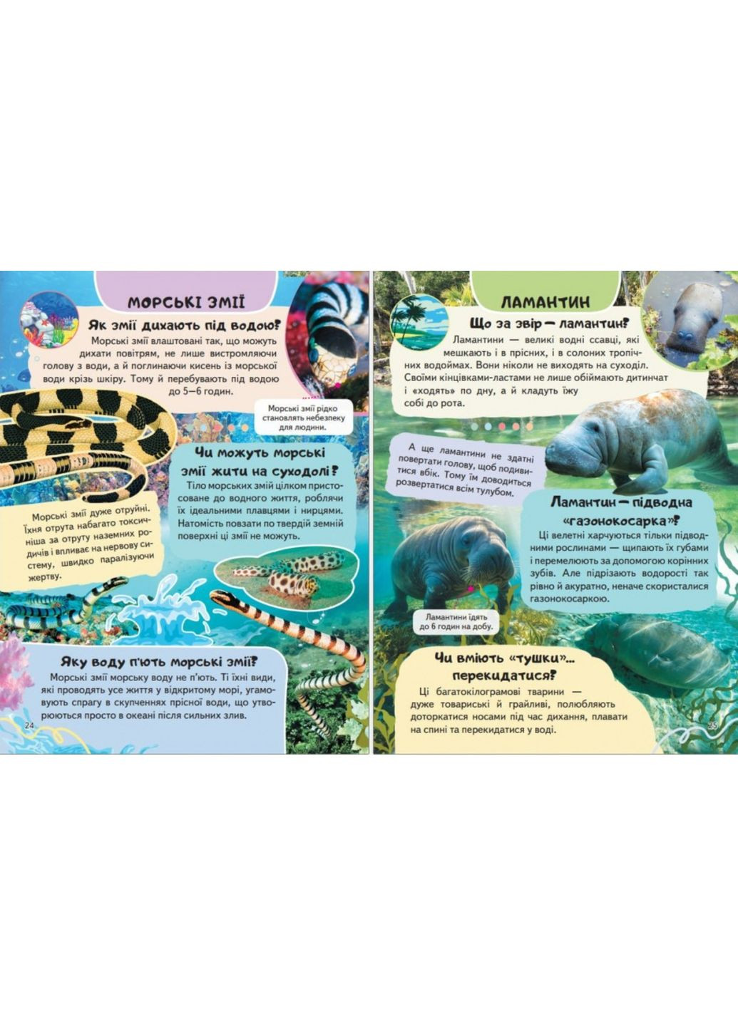 Цікава енциклопедія "Тварини водного світу" Книга для дітей (9786178638313) Пегас (361894340)