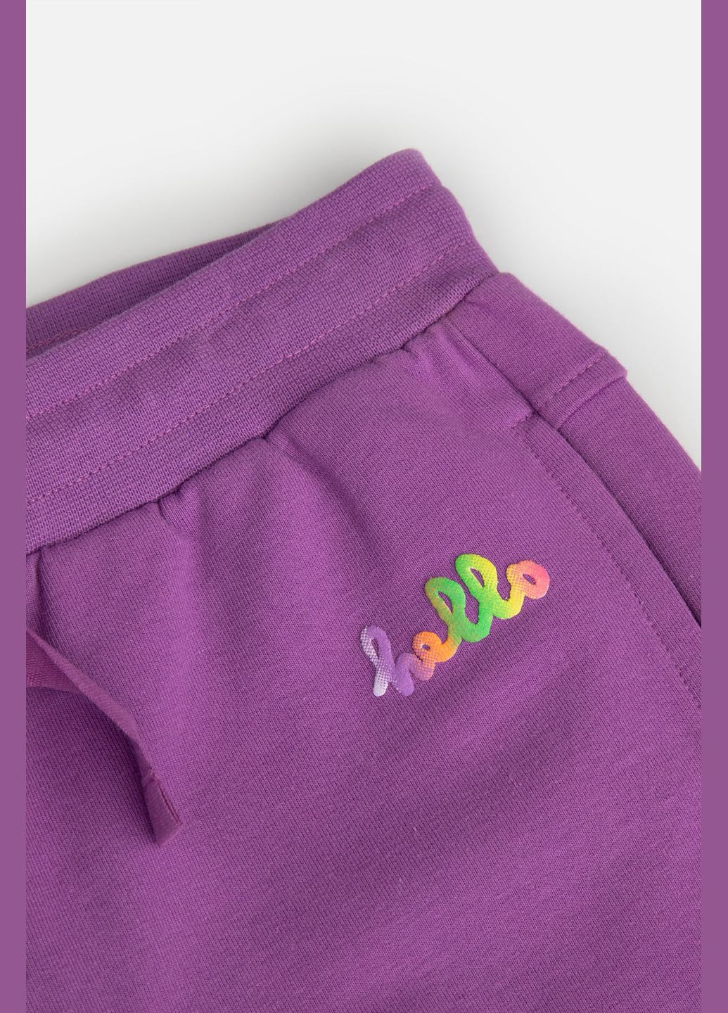Фиолетовые демисезонные брюки Coccodrillo