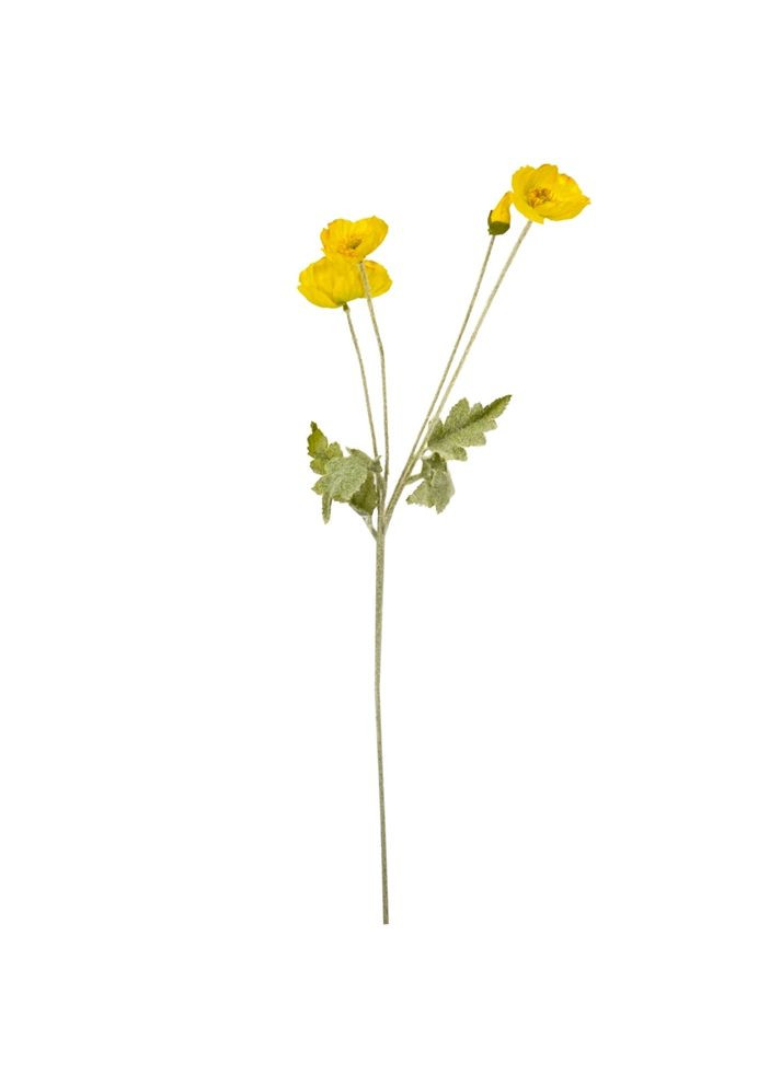 Мак жовтий, 60 см ELISEY (333986429)