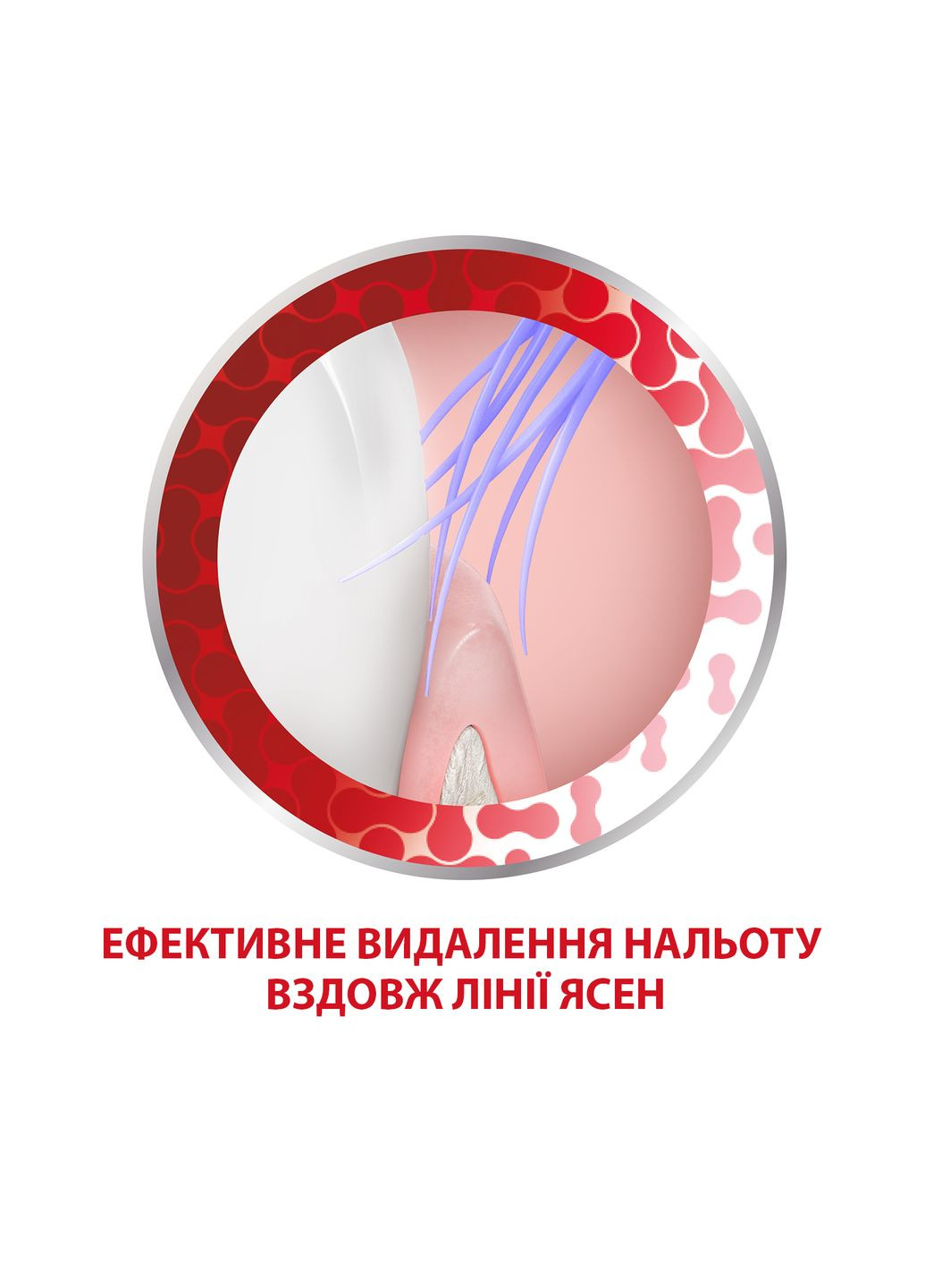 Зубная щетка Комплексная Защита, мягкая, фиолетовая Parodontax (328395843)