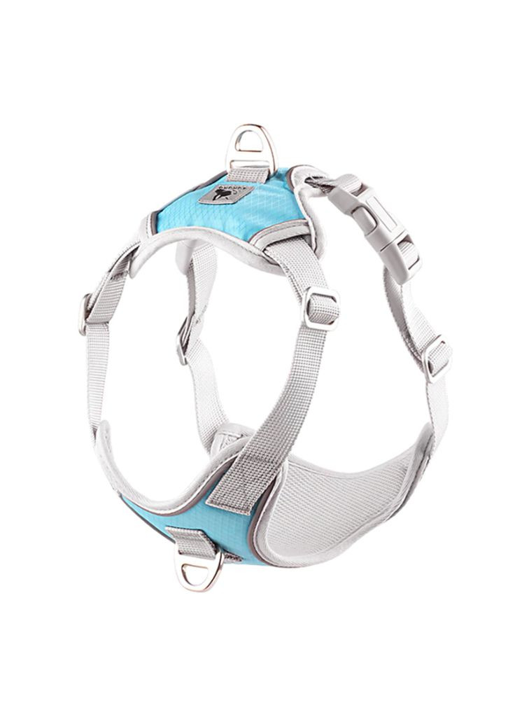 Шлея для собак Bororo Комфорт и контроль во время каждой прогулки No Brand (362571929)