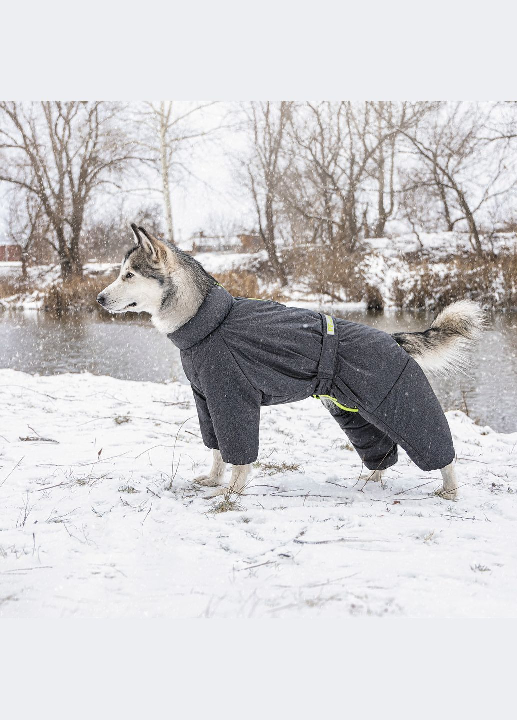 Комбінезон COLD SM Сірий (4823082426263) Pet Fashion (318101244)