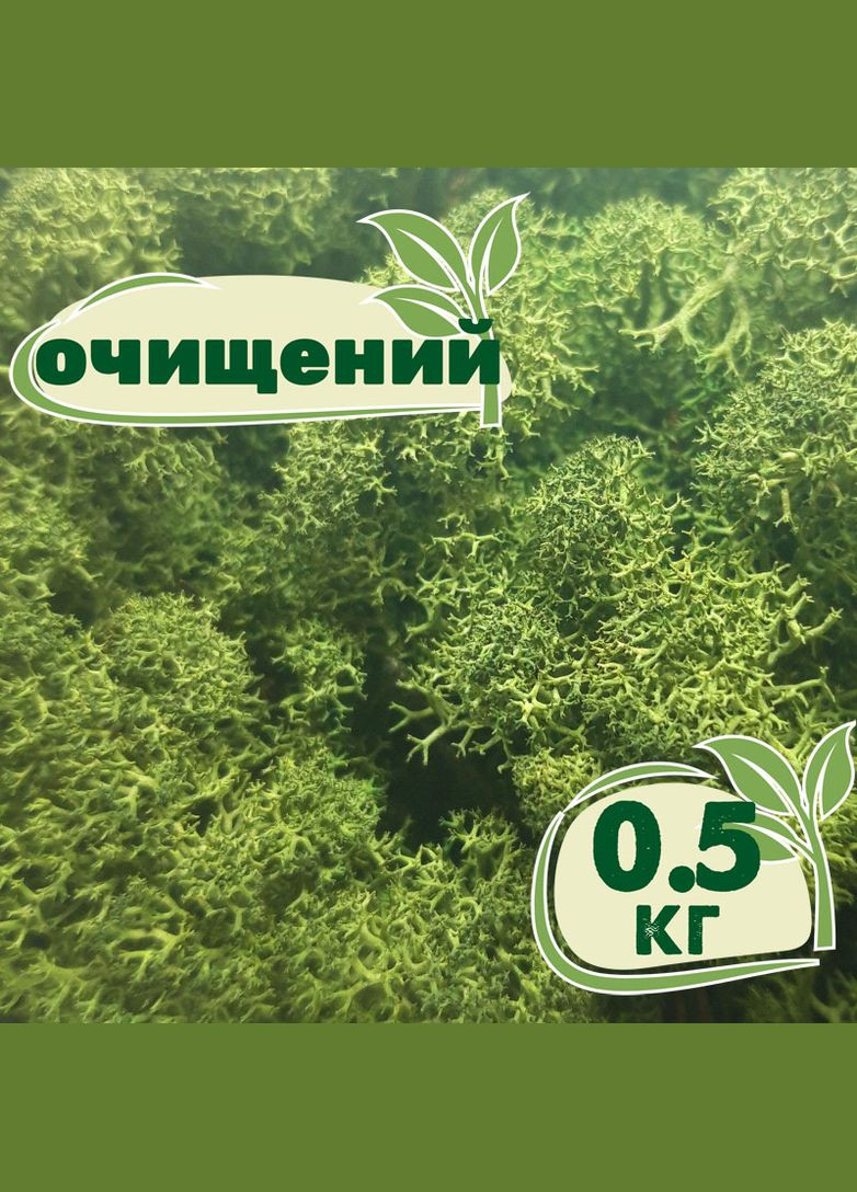 Очищений стабілізований мох ягель Зелений темний 0,5 кг Nordic moss (276401102)