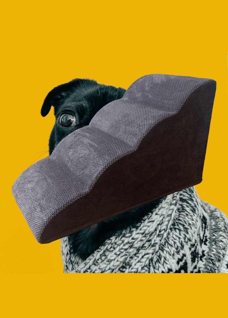 Лесенка для собаки купити. Зоотоварі для собак онлайн. Товари для домашніх тварин Україна 40х48х80см No Brand (339786311)