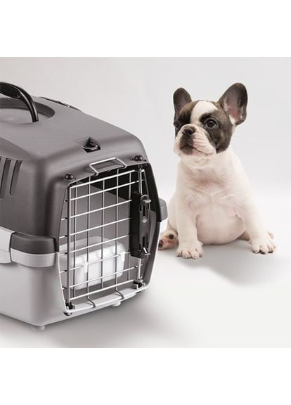 Поилка для переноски Gulliver белая 0,3 л (8003507979215) Stefanplast (354702584)