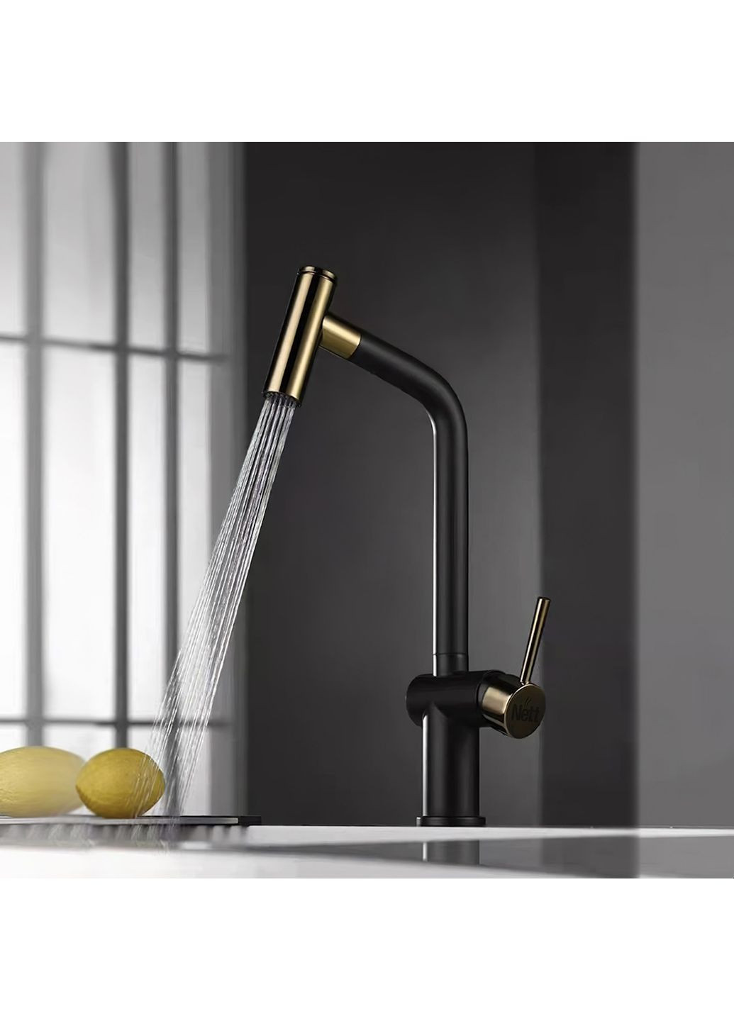 Смеситель для кухни с выдвижным изливом Nett FG-44 (352261567)