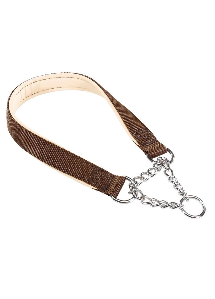 Нейлоновий нашийник для собак DAYTONA CSS25/65, 65 см Ferplast (335587897)