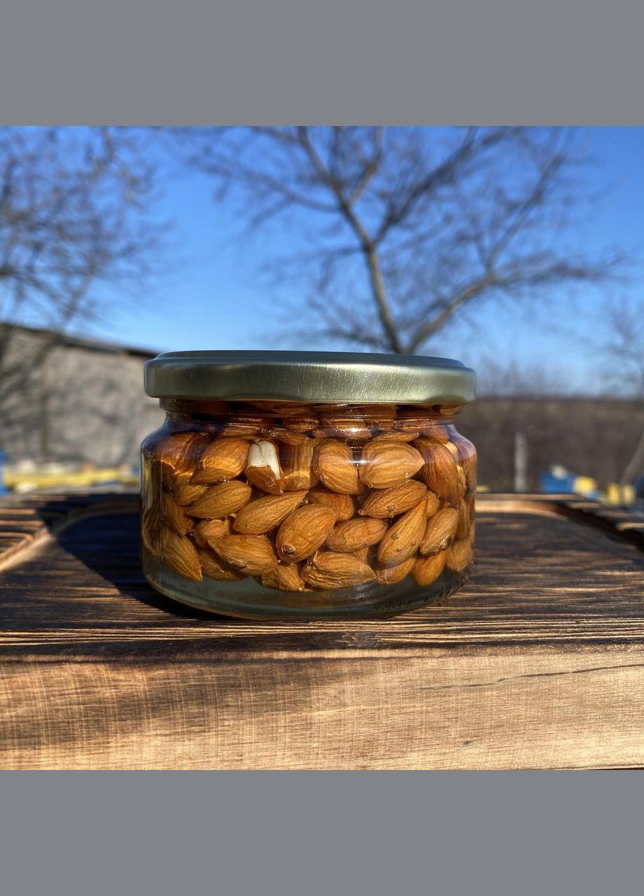 Ядра кісточки абрикоса у меду акації 0,25 л (270 грам) МЕД ПОШТОЮ (322148941)