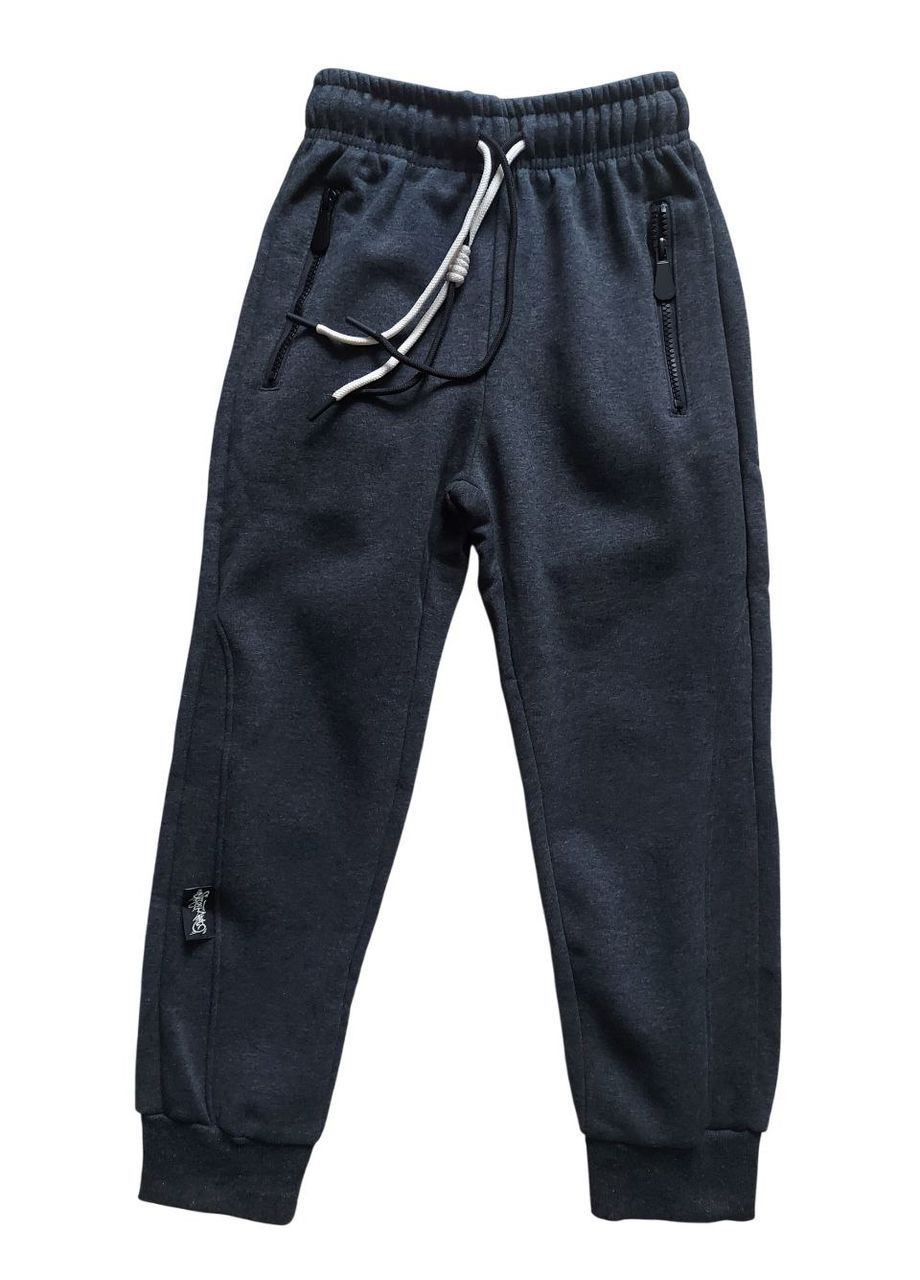 Графитовые кэжуал, спортивные зимние брюки Dola Elvin