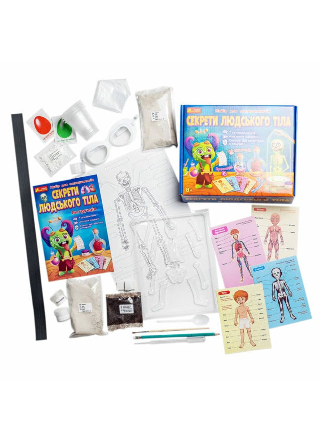 Набор для экспериментов "Секреты человеческого тела" РАНОК (301872615)
