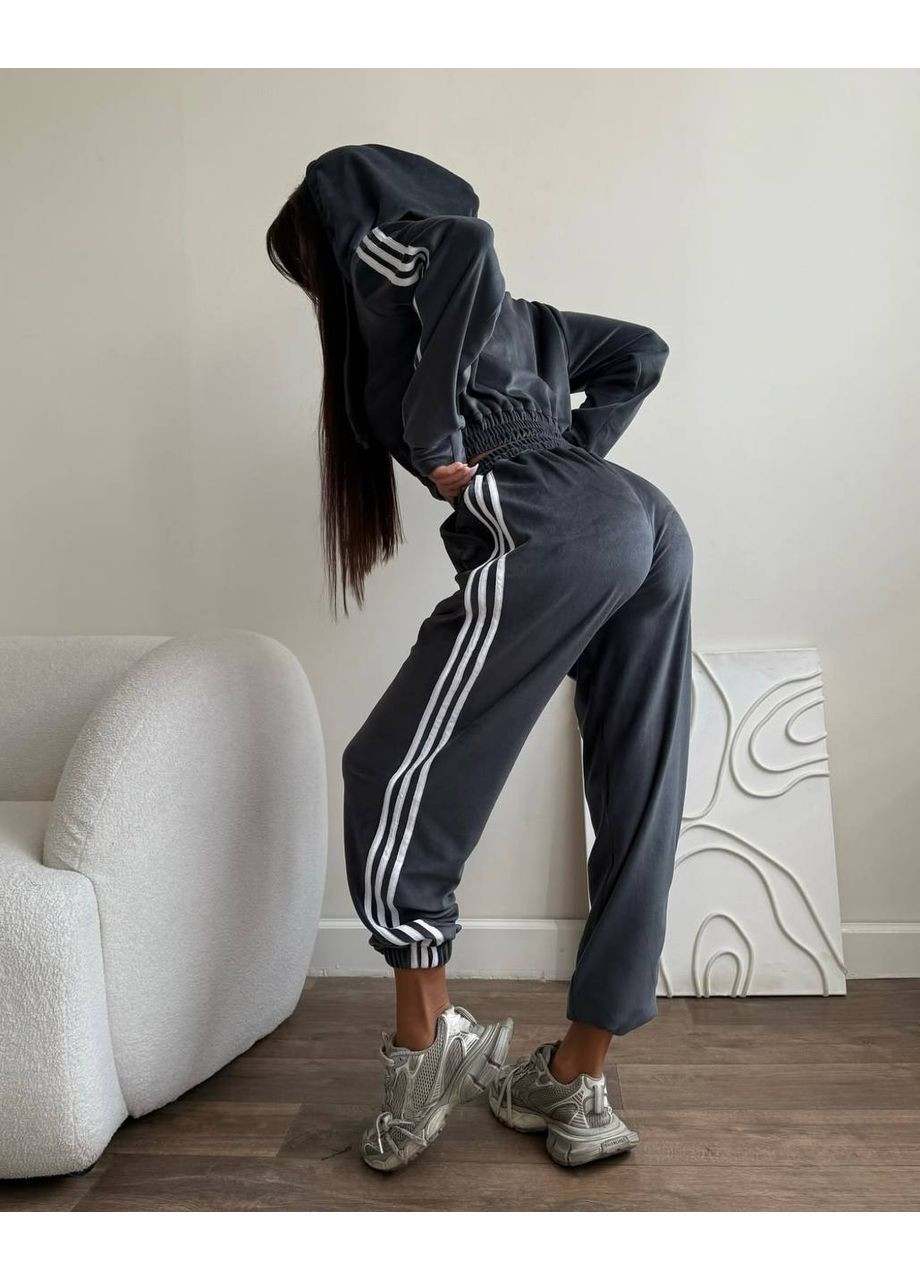 Костюм женский велюровый с лампасами. No Brand (366144389)