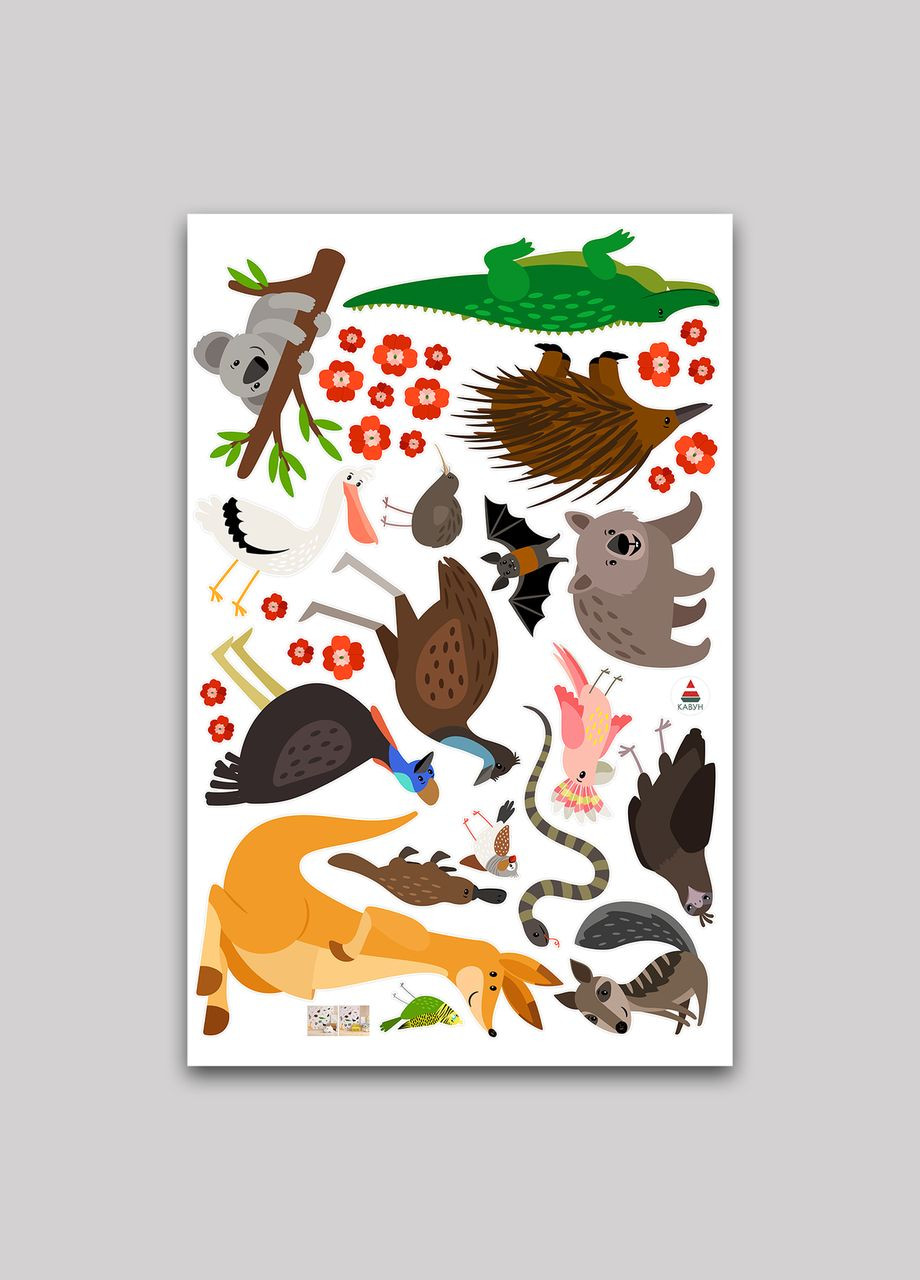 Вінілова інтер'єрна на стіну, шпалери та інші поверхні Тварини Австралія з Оракалу Кавун наклейка (316190186)