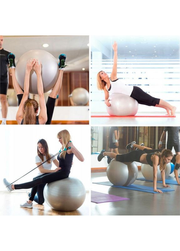 Фитбол мяч для фитнеса 65 см, фитбол мяч до 150 кг Newt (361669355)