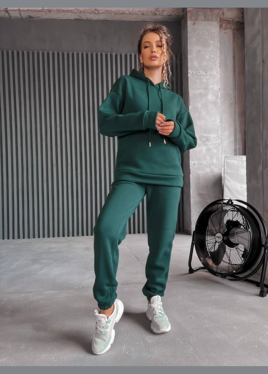 Теплый костюм No Brand (306553067)