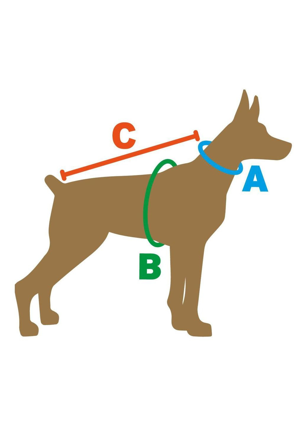 Шлей нейлоновый анатомический с узором MONEY и пластиковой пряжкой 20 мм, А:400-500 мм, В:500-630 мм. Kareline (339075307)