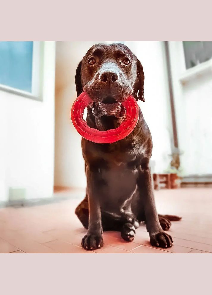 Жувальна іграшка для собак з кристалами бікарбонат Smile (Ферпласт Смайл) use 16 x 3,2 cm - M, Чорний Ferplast (297512898)