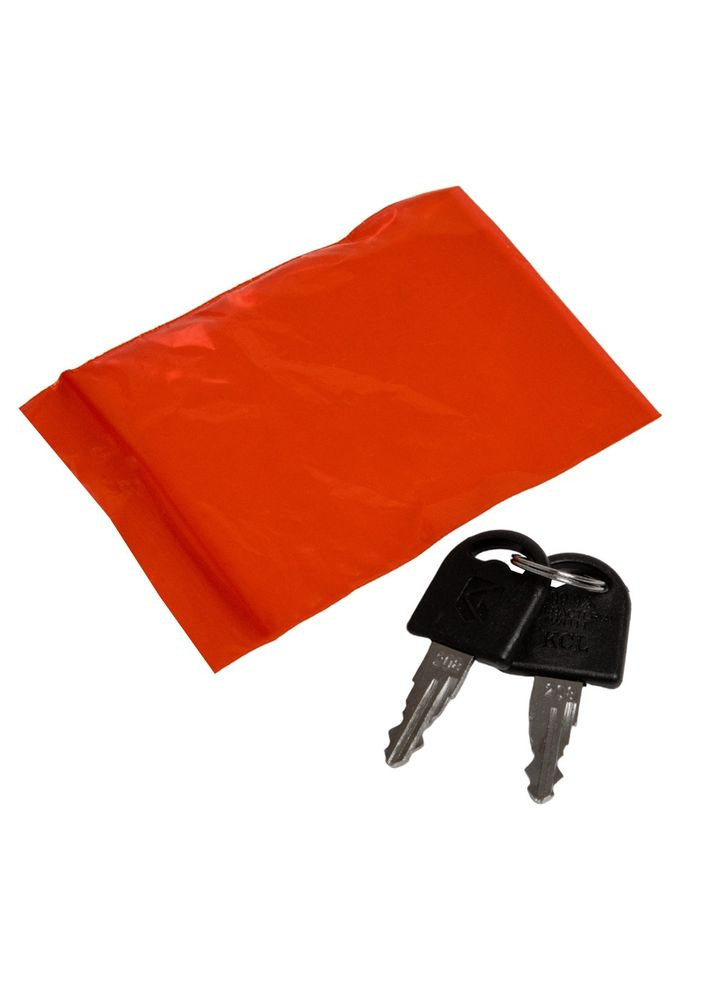 Книгасейф металлическая с двумя ключами Картина Густава Климпта Поцелуй 26х17х5 см 10001-033 Lefard (299387588)