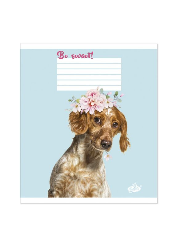 Тетрадь 18 листов клетка "Бриск"/ Милый друг Бріск (342416210)