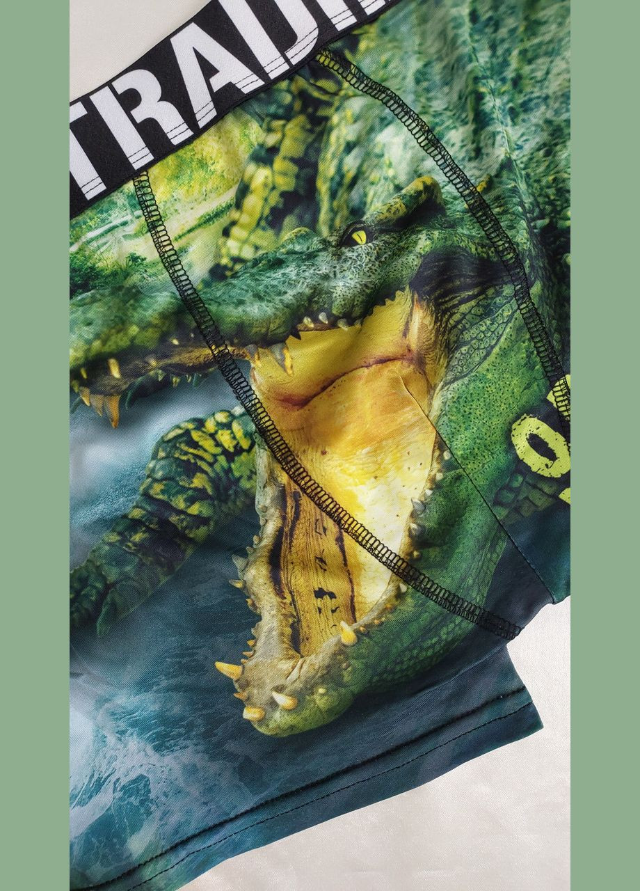 Мужские трусы боксеры шорты Honey Fashion Accessories L зеленый (2-66) No Brand (313286089)