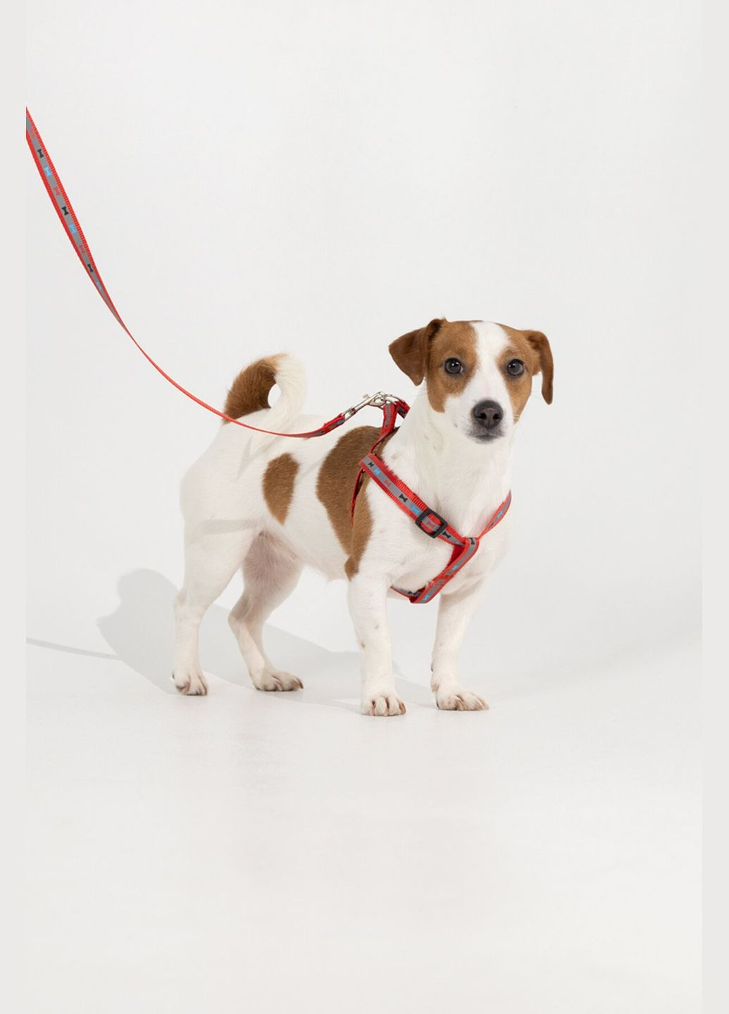 Амуниция для животных KM52692 Красный (2000990383518A) shop (2000990383518) KUMAOCHONGWUYONGPIN (363829762)