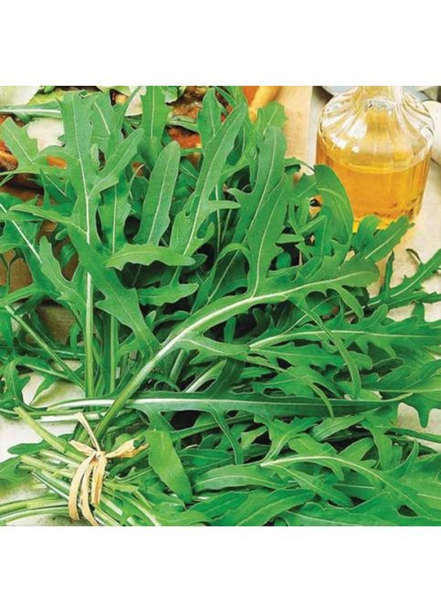 Семена пряные травы Рукола Индау 5г Насіння України (356119189)