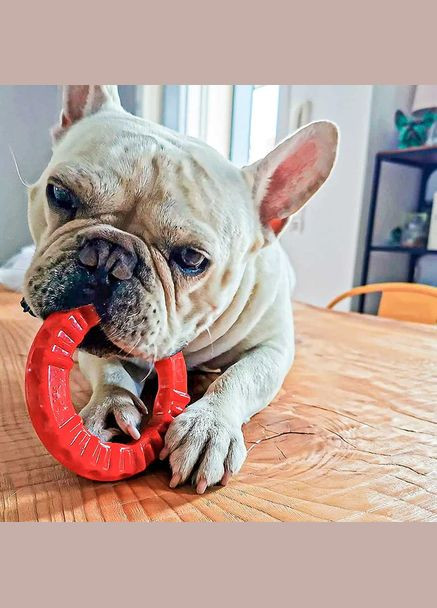 SMILE S RED DOG RING Ferplast (335587287)