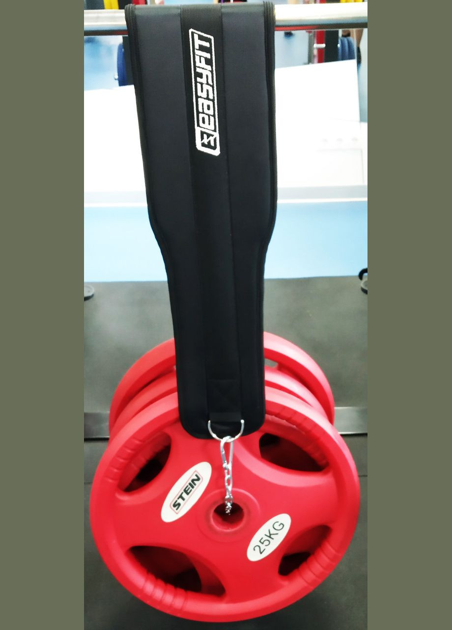 Пояс для отягощений size EasyFit (340273743)