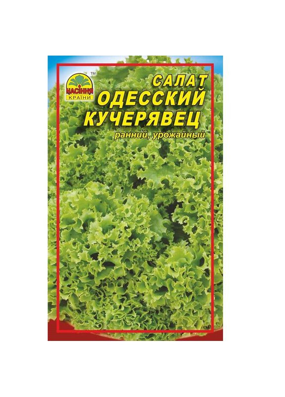 Насіння салату Одеський кучерявий 0,5 г ( ) Насіння країни (328607087)