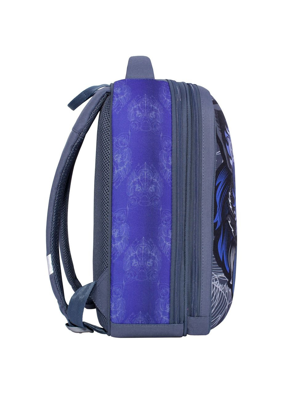 Школьный текстильный рюкзак ортопедический с принтом 2 отделения Turtle 17 л 506 (0013466) Bagland (298566638)