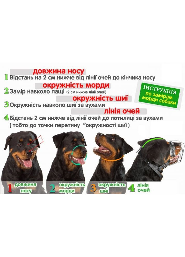 Намордник для собак металлический хромированный «Ротвейлер» №3 (12,5см*45см*57/70см) Лорі (367725899)
