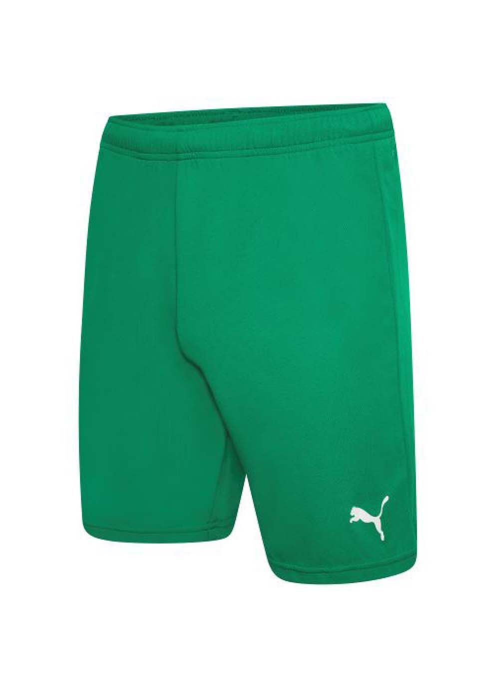 Шорти teamRISE Short зелений Puma (367594252)