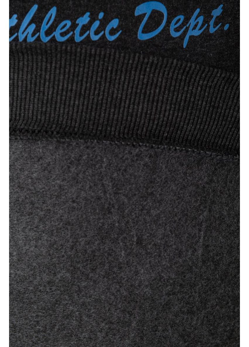 Худі чоловічий на флісі з капюшоном, колір сірий, 244R2197 Ager (313291377)