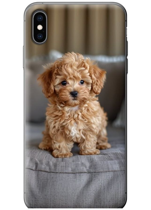2D пластиковий чохол 'Mini-maltipoo' для Endorphone Apple iPhone XS Max (297868186)